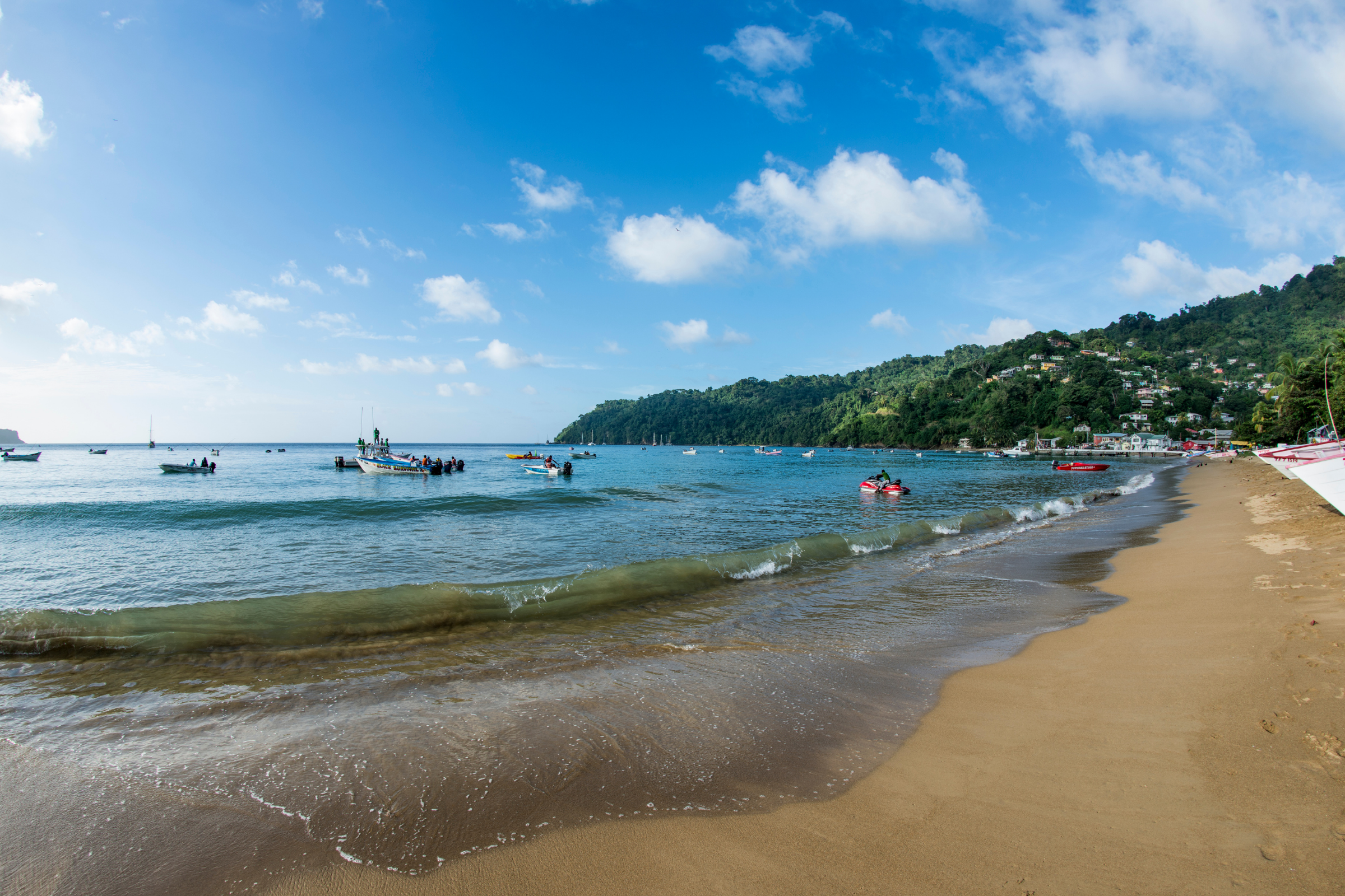 charlotteville 03.webp